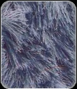 Shaggy Rugs manufacturers india