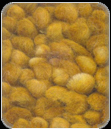 Shaggy Rugs manufacturers india