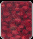 Shaggy Rugs manufacturers india